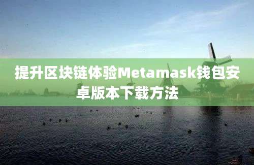 提升区块链体验Metamask钱包安卓版本下载方法