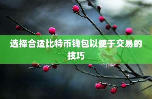 选择合适比特币钱包以便于交易的技巧