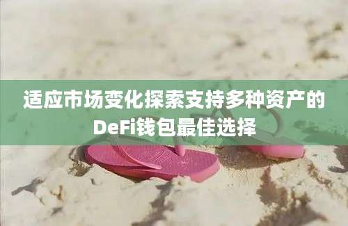 适应市场变化探索支持多种资产的DeFi钱包最佳选择