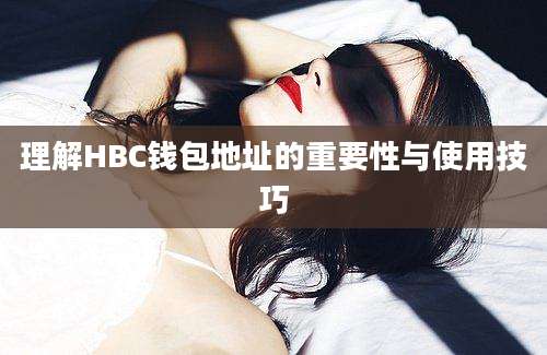 理解HBC钱包地址的重要性与使用技巧