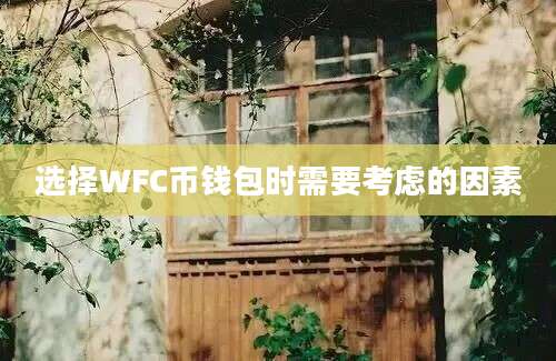 选择WFC币钱包时需要考虑的因素