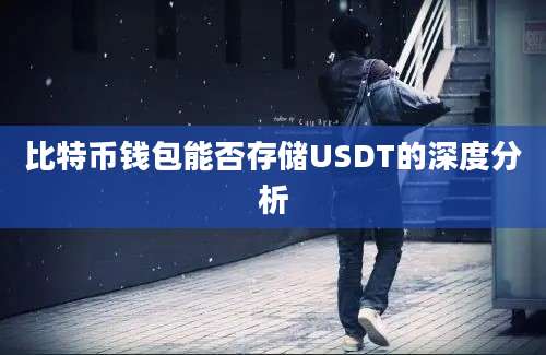 比特币钱包能否存储USDT的深度分析