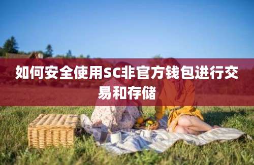 如何安全使用SC非官方钱包进行交易和存储