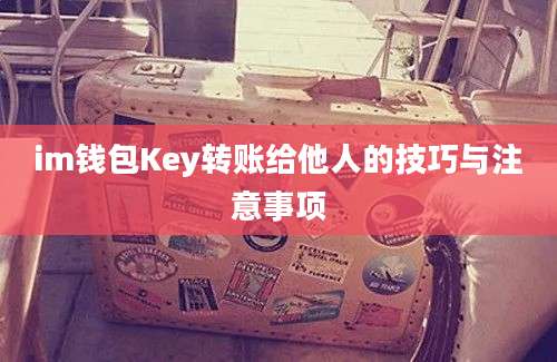 im钱包Key转账给他人的技巧与注意事项