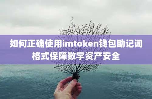 如何正确使用imtoken钱包助记词格式保障数字资产安全