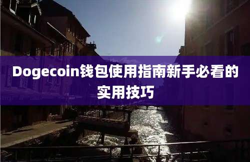 Dogecoin钱包使用指南新手必看的实用技巧