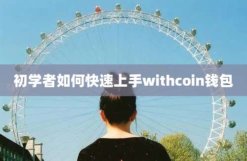 初学者如何快速上手withcoin钱包