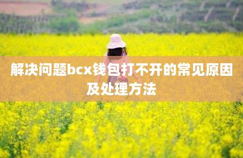 解决问题bcx钱包打不开的常见原因及处理方法