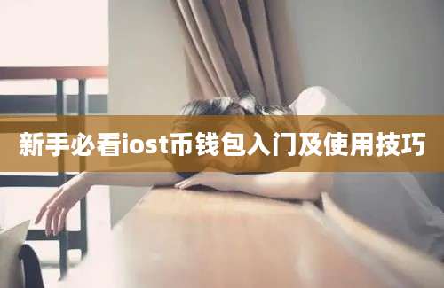 新手必看iost币钱包入门及使用技巧