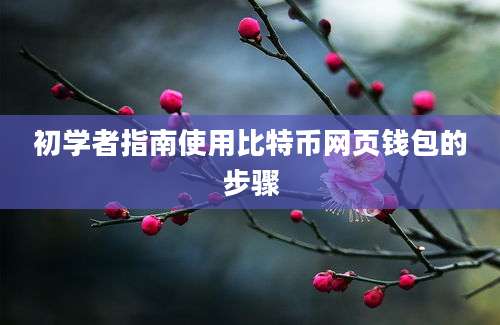 初学者指南使用比特币网页钱包的步骤