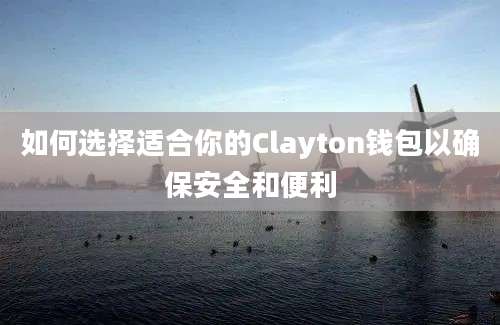 如何选择适合你的Clayton钱包以确保安全和便利