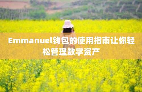 Emmanuel钱包的使用指南让你轻松管理数字资产