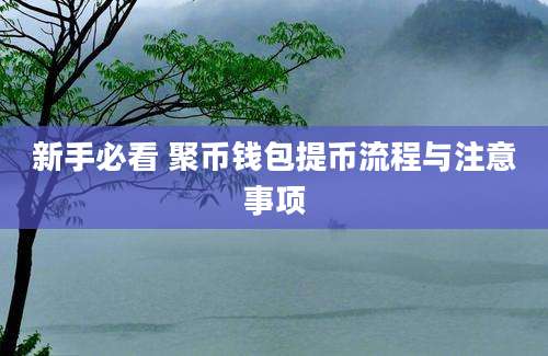 新手必看 聚币钱包提币流程与注意事项