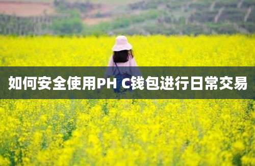 如何安全使用PH C钱包进行日常交易