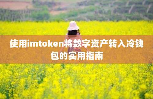 使用imtoken将数字资产转入冷钱包的实用指南