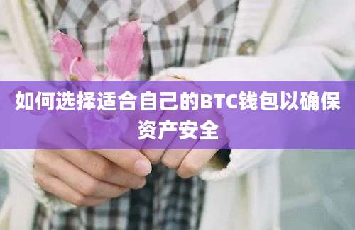 如何选择适合自己的BTC钱包以确保资产安全