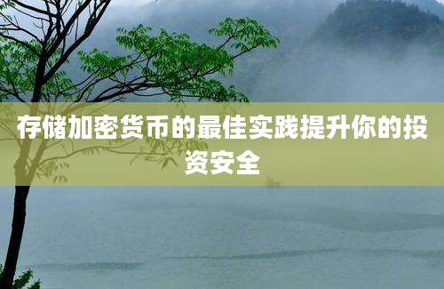 存储加密货币的最佳实践提升你的投资安全