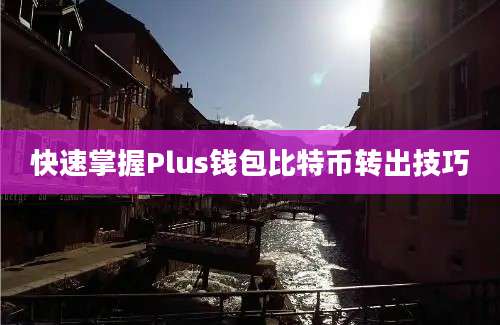 快速掌握Plus钱包比特币转出技巧