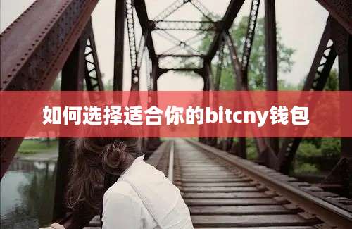 如何选择适合你的bitcny钱包