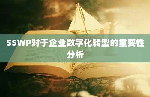 SSWP对于企业数字化转型的重要性分析