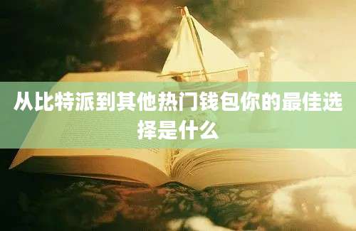 从比特派到其他热门钱包你的最佳选择是什么