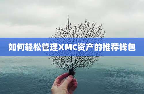 如何轻松管理XMC资产的推荐钱包