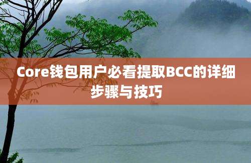 Core钱包用户必看提取BCC的详细步骤与技巧