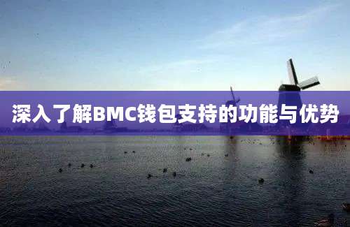 深入了解BMC钱包支持的功能与优势