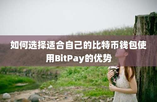 如何选择适合自己的比特币钱包使用BitPay的优势