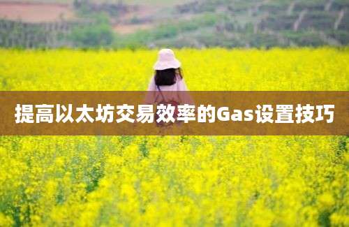 提高以太坊交易效率的Gas设置技巧