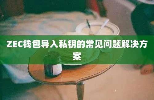 ZEC钱包导入私钥的常见问题解决方案