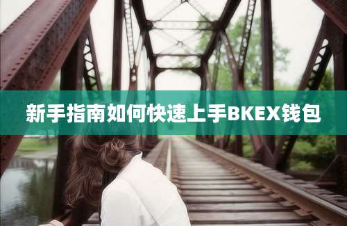 新手指南如何快速上手BKEX钱包