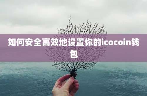 如何安全高效地设置你的icocoin钱包