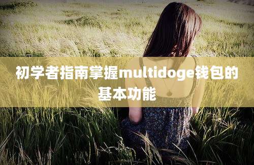 初学者指南掌握multidoge钱包的基本功能