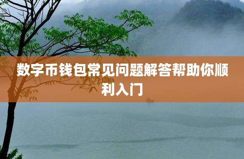 数字币钱包常见问题解答帮助你顺利入门