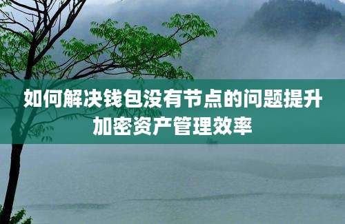 如何解决钱包没有节点的问题提升加密资产管理效率