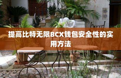 提高比特无限BCX钱包安全性的实用方法