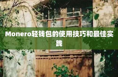 Monero轻钱包的使用技巧和最佳实践