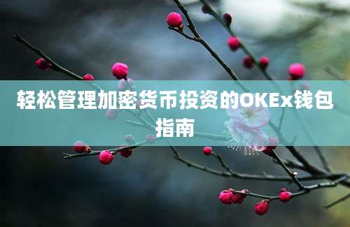 轻松管理加密货币投资的OKEx钱包指南