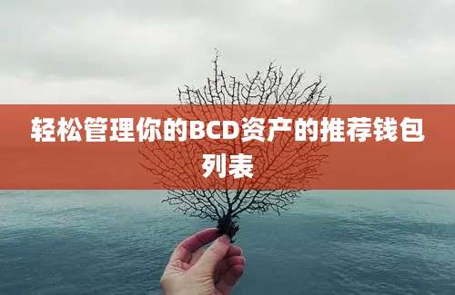 轻松管理你的BCD资产的推荐钱包列表