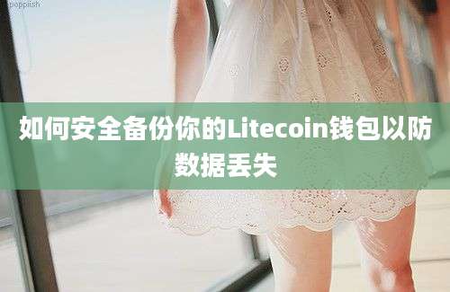 如何安全备份你的Litecoin钱包以防数据丢失