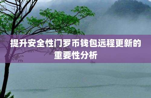 提升安全性门罗币钱包远程更新的重要性分析