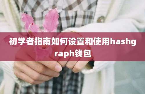 初学者指南如何设置和使用hashgraph钱包