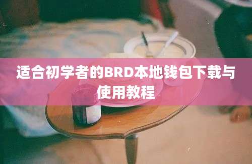 适合初学者的BRD本地钱包下载与使用教程