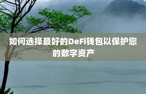 如何选择最好的DeFi钱包以保护您的数字资产