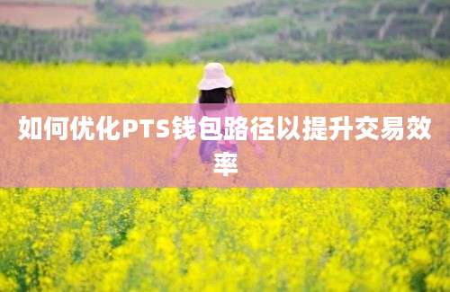 如何优化PTS钱包路径以提升交易效率