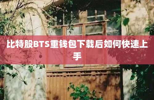 比特股BTS重钱包下载后如何快速上手