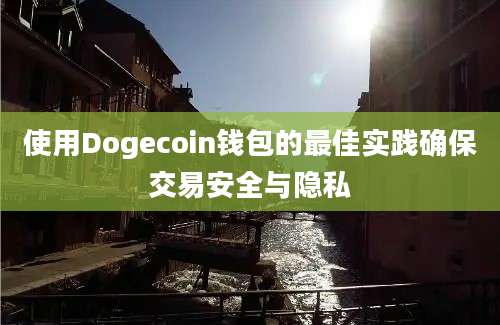 使用Dogecoin钱包的最佳实践确保交易安全与隐私