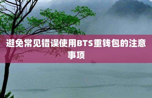 避免常见错误使用BTS重钱包的注意事项