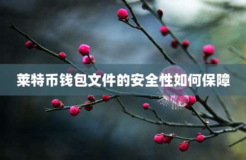 莱特币钱包文件的安全性如何保障